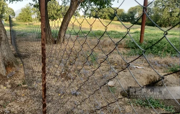 Cəlilabadda park tikintisi zamanı qədim əşyalar tapılan ərazi nəzarətə götürülüb - FOTO