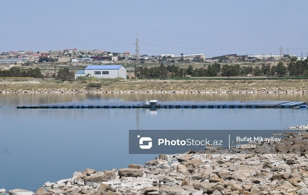 Böyükşor gölünə tullantı suları axıdanlar barəsində inzibati protokol tərtib edilib