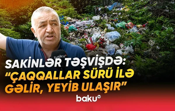 "Üfunətdən nəfəs almaq olmur" - Sakinlər antisanitar vəziyyətdən ŞİKAYƏT ETDİLƏR - VİDEO