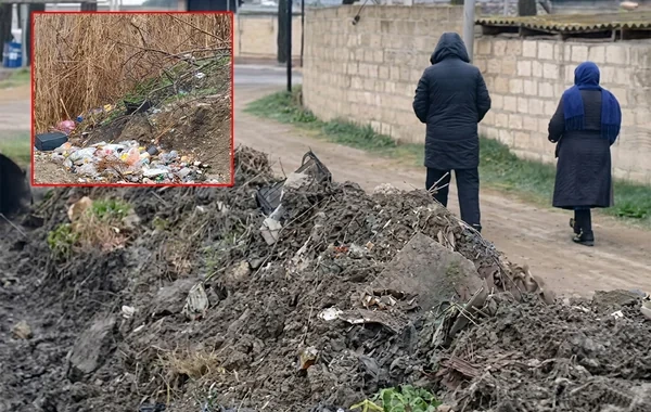Azərbaycanda yeni "xidmət": "Qurbağalar dalaşanda ayırırıq" - VİDEO