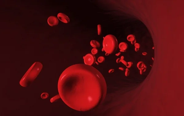Talassemiya daşıyıcıları nələri bilməlidirlər? - Hematoloqdan TÖVSİYƏ - FOTO