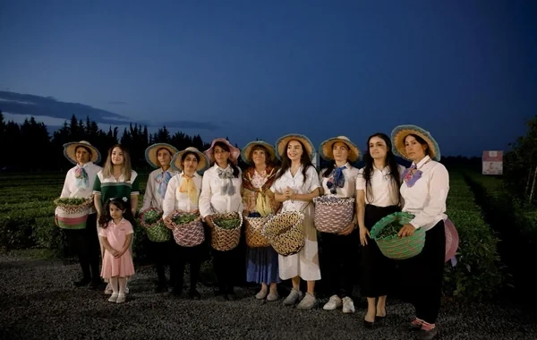 Leyla Əliyeva Lənkəranda "Yaşıl çay" fermer təsərrüfatı ilə tanış olub