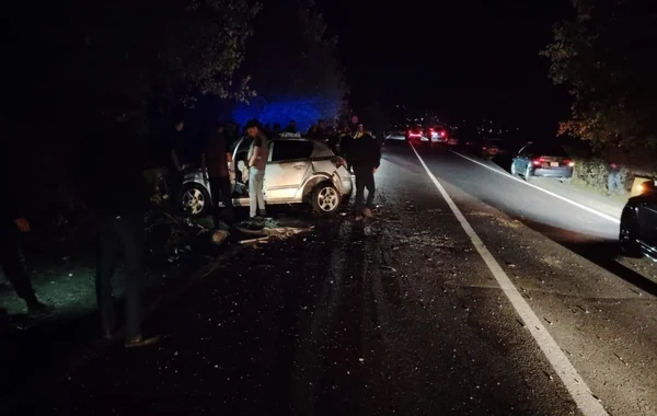 Şəki-Qax yolunda avtomobil ağaca çırpıldı, sürücü öldü
