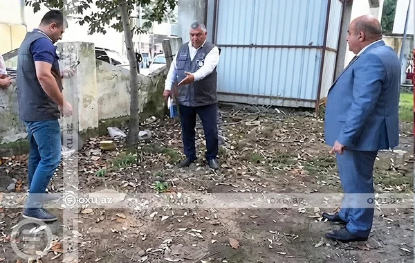 Masallı rayonunda ağaclar qanunsuz kəsilir? - Nazirlik Prokurorluğa müraciət edir - Foto/Video