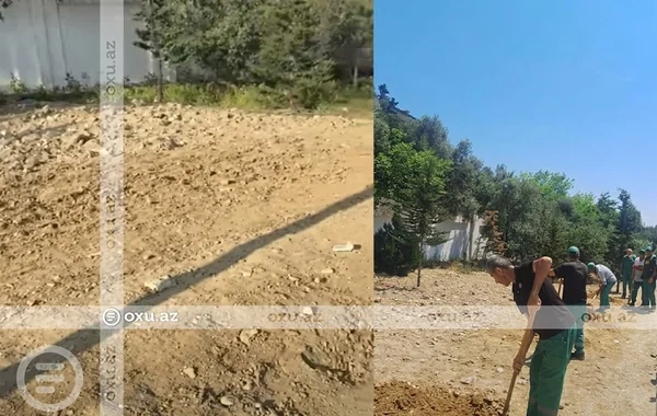 Yasamalda yaşıllığın məhv edilməsi iddiasına RƏSMİ CAVAB - FOTO - VİDEO