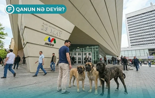 Saxladığınız ev heyvanına görə cərimə oluna bilərsiniz - Qanun nə deyir?