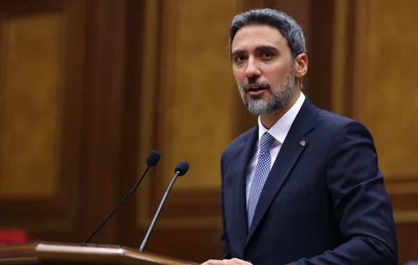 Samvel Karapetyanın keçmiş vəkili Ermənistan parlamentinə vitse-spiker seçildi