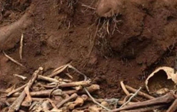 Ağdamda qazıntı zamanı skelet qalıqları aşkarlanıb
