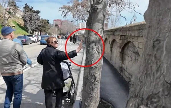 İnsanların problemdən qurtula bilmədiyi prospekt: Dirək və ağaclar səkini keçilməz edib - VİDEO