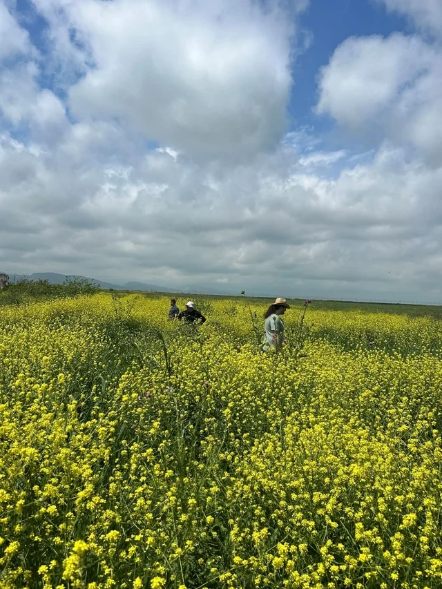 Ağdərə və Ağdam rayonlarında yeni arxeoloji abidələr aşkar edildi - FOTO