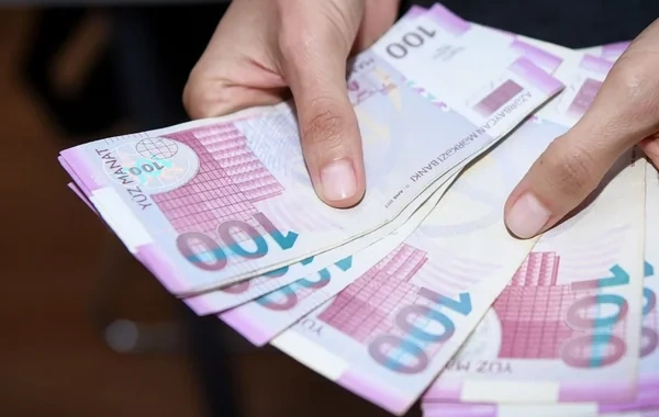 Gələn il Qarabağ və Şərqi Zəngəzura xərclənəcək VƏSAİT AÇIQLANDI
