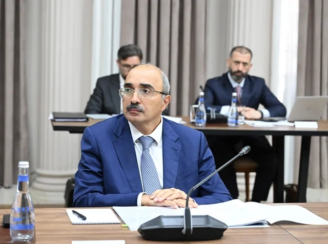 İqtisadi Şuranın növbəti iclası keçirilib - Foto