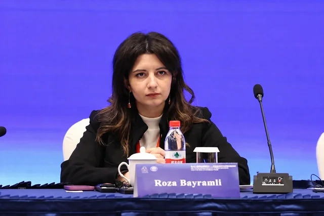 Yaşıl enerji, rekord tranzit və strateji sədrlik: Mərkəzi Asiya ilə inteqrasiyanın uğur formulu