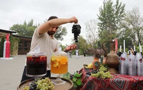 Şamaxıda Üzüm və Şərab Festivalı başlayıb - Foto - Video