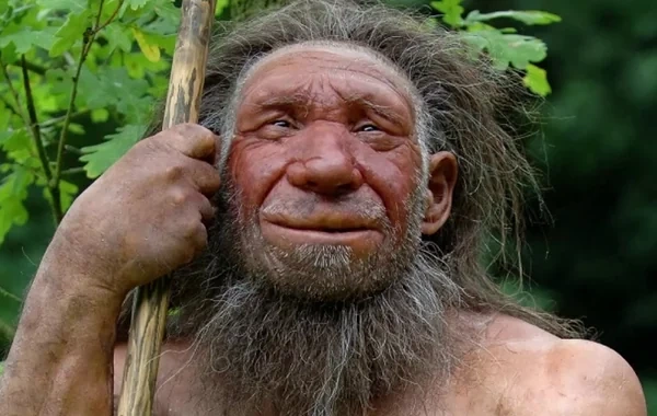 Neandertalların yoxa çıxması ilə bağlı yeni elmi faktlar