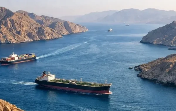 Hindistan Hörmüz boğazında tankerlərini qorumaq üçün hərbi gəmilər göndərib
