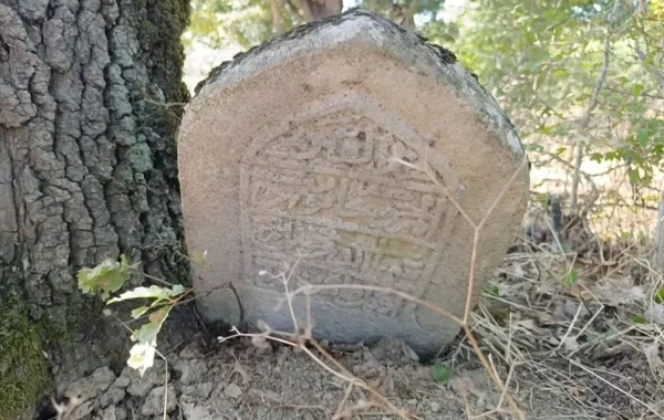 Şabranda qədim qəbiristanlıqda vandalizm: Şeyxin məzarı açıldı - VİDEO
