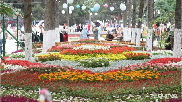 Özbəkistan dünya rekordunu qırdı: 29 milyondan çox gül əkildi - FOTO