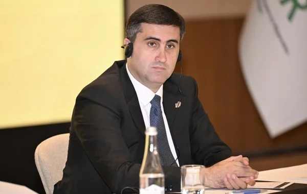 Abbas Abbasov Azərbaycana gələn əcnəbi ictimai-siyasi fəallarla görüşüb