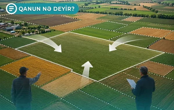 Azərbaycanda bəzi əkin sahələri birləşdiriləcək - Qanun nə deyir? - VİDEO