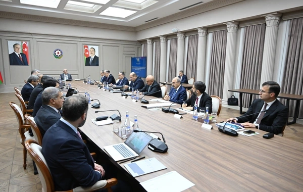 İqtisadi Şuranın və Azərbaycan İnvestisiya Holdinqinin Müşahidə Şurasının birgə iclası keçirilib