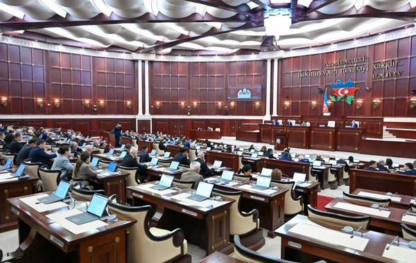 Milli Məclis Dünya Azərbaycanlılarının Həmrəyliyi Günü münasibətilə müraciət qəbul edib