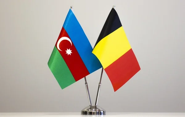 Belçika səfirliyi Naxçıvana hücumu pisləyib