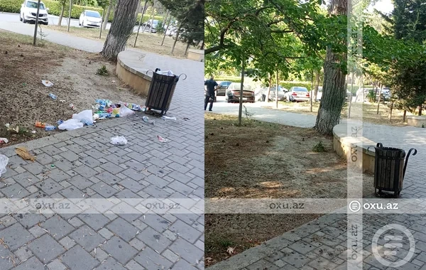 Bakıdakı "Aşiqlər parkı"na əl gəzdirdilər - FOTO
