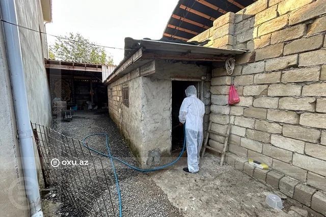 AQTA cənub bölgəsində quş tələfatı ilə bağlı araşdırmaya başladı - FOTO