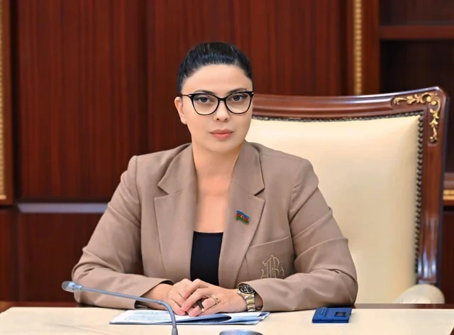 Deputat: "AQEM-ə sədrliyin uzadılması Azərbaycanın beynəlxalq nüfuzunun göstəricisidir" - Foto