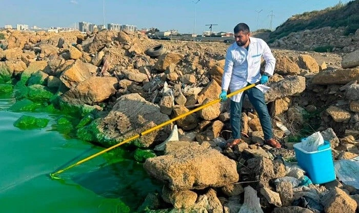 Böyükşor gölündə suyun rənginin yaşıl olmasının səbəbi