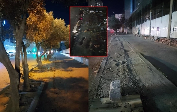 Xırdalanda ağacları kəsən vəzifəli şəxs CƏRİMƏLƏNİB