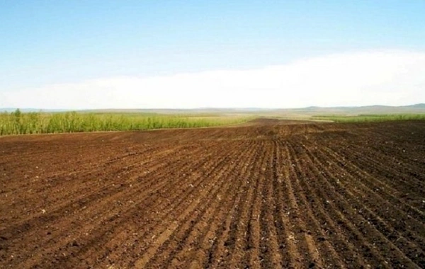 Üç min hektardan çox torpaqla bağlı qanunsuz bələdiyyə qərarları ləğv olunub