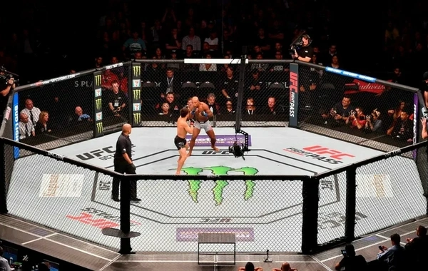 UFC-də bonuslar ikiqat artırıldı, əlavə mükafat təyin olundu
