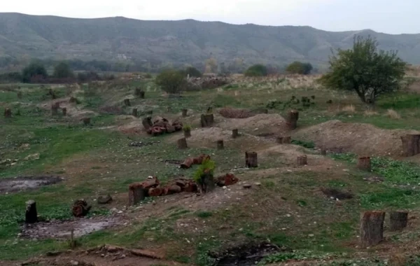 Azərbaycanın təbii sərvətləri üzərində 30 illik talan izi