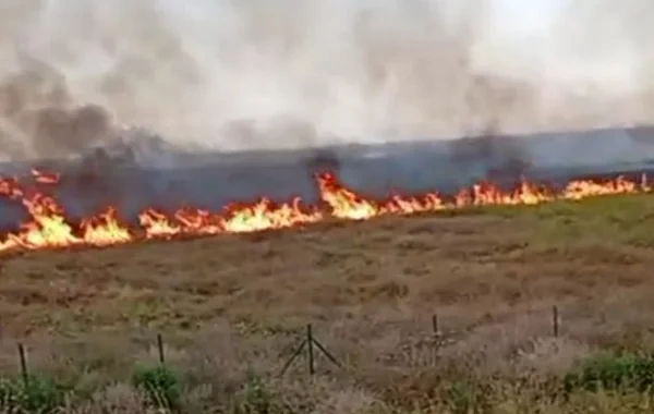 Sarıcalı kəndi yaxınlığında açıq ərazidə YANĞIN BAŞLAYIB - FOTO
