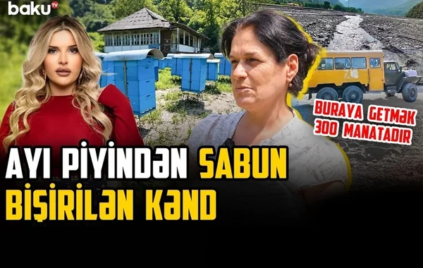 Ayı piyindən sabun bişirilən kənd - Zaqatalanın ən ucqar yaşayış məntəqələrindən birindən REPORTAJ - VİDEO