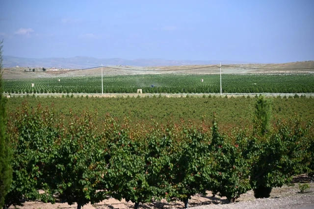 Əlaqələndirmə Qərargahının üzvlərinin Ağdərə və Xocalı rayonlarına səfəri başlayıb - FOTO