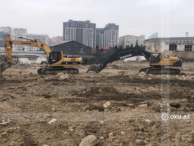 Ağ Şəhərdə ağacların kütləvi kəsilməsinə dövlət qurumundan münasibət: "Ağır texnika ilə məhv edilib"