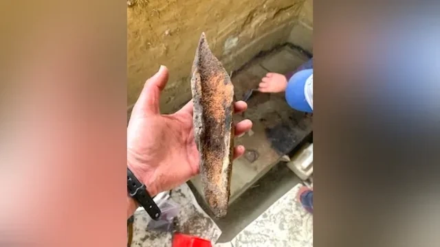 Alyaskada Şimali Amerikanın ən qədim yaşayış məskəni və ilk əhliləşdirilmiş itlərin izləri tapıldı - Foto