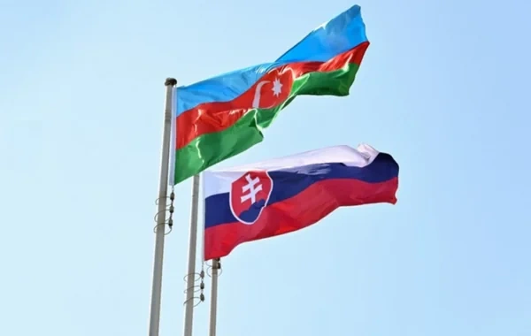 Azərbaycan-Slovakiya münasibətləri: Siyasi dialoqdan strateji tərəfdaşlığa doğru - FOTO
