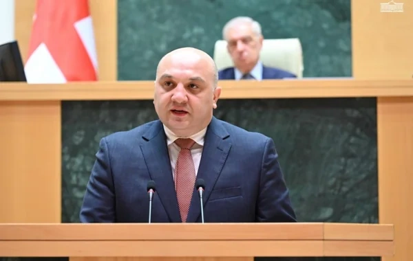 Gürcüstanda əcnəbi tələbələrə qarşı qaydalar sərtləşdirilir