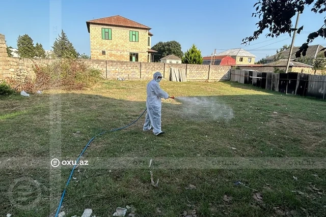 AQTA cənub bölgəsində quş tələfatı ilə bağlı araşdırmaya başladı - FOTO