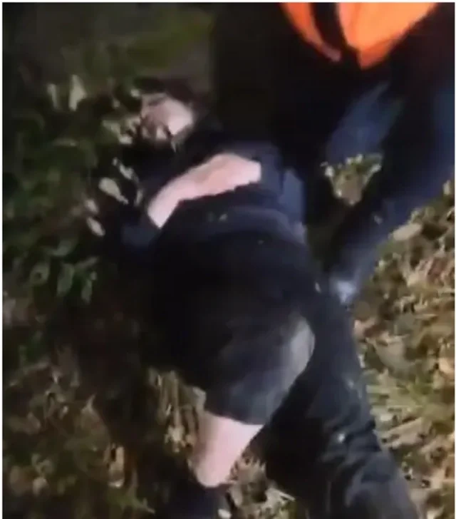 İstanbulda yoxa çıxan, günlər sonra meşədə tapılan qadının ölüm səbəbi açıqlandı: Ritual, yoxsa təzyiq? - FOTO - VİDEO