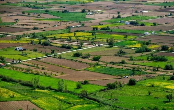 Göygöldə torpaq sahələrinin satışı üzrə planlaşdırılan hərrac dayandırılıb