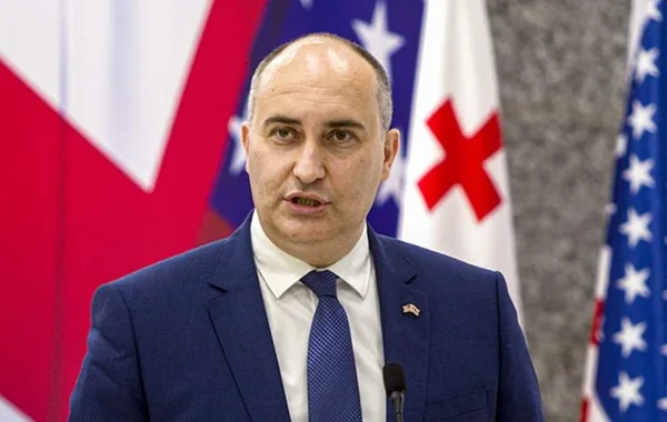 Gürcüstanın keçmiş müdafiə naziri 10 il müddətinə azadlıqdan məhrum edildi