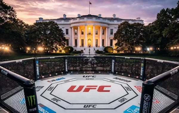 UFC turnirinin mükafat fondu açıqlandı