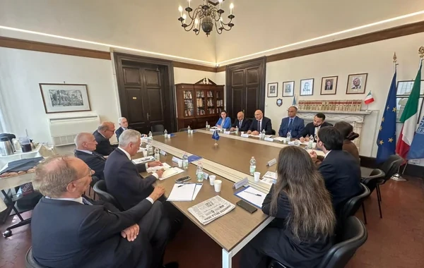 Elçin Əmirbəyov İtaliyaya işgüzar səfər edib - FOTO