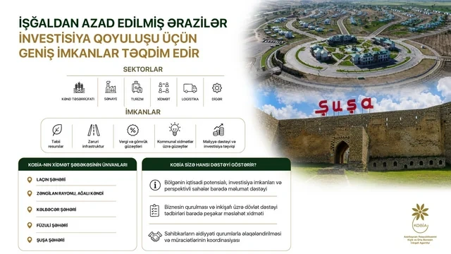 İşğaldan azad edilmiş ərazilər investorlar üçün geniş imkanlar təqdim edir - FOTO