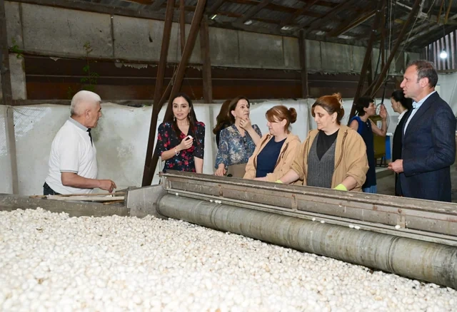 Leyla Əliyeva "Azəripək" ASC-nin fəaliyyəti ilə yaxından tanış olub - FOTO